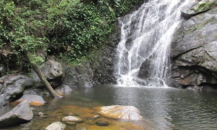 Paraíso de Campo Grande