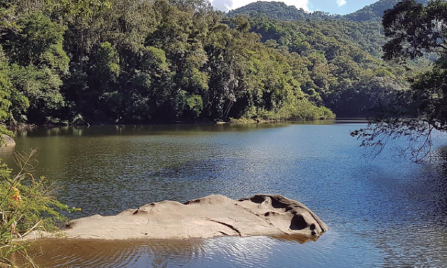 Represa na floresta