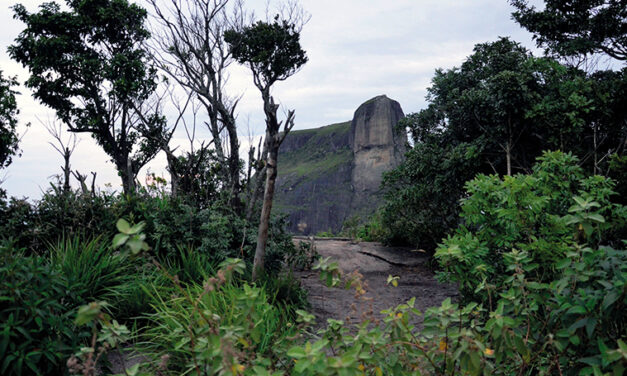 História quilombola